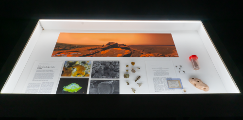 TX-2:MOONSHADOW MARS LICHEN vitrine as part of : REWILD at MAXXI; photo credit: Adriana Knouf